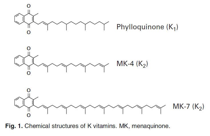 Structure of VitaminK 2