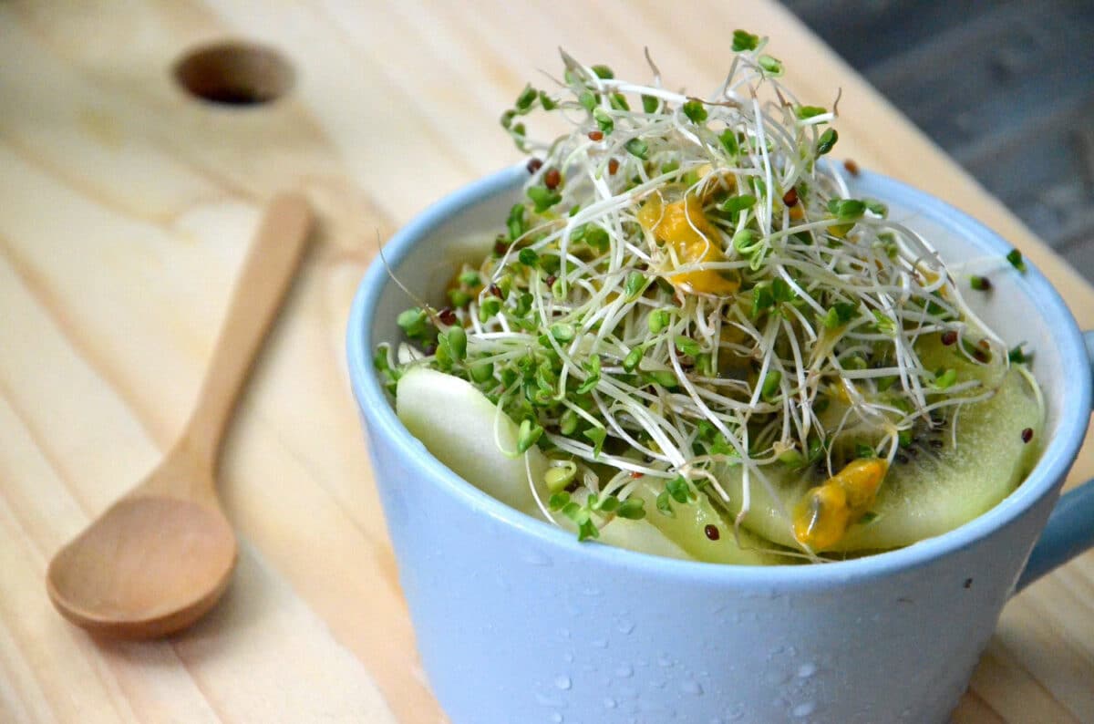 broccoli-sprouts|yourhealthyprostate.com-Your Healthy Prostate