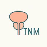 TNM staging Square 160×160 icon showing a stylized prostate gland with the bold letters T, N, M, symbolizing a quiz on prostate cancer staging.