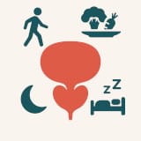 lifestyle impact Square 160×160 icon showing a central prostate silhouette with lifestyle symbols around it — a walking figure, vegetables, moon, and sleep symbol — representing lifestyle impact on prostate health.