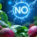 Nitric oxide in nature